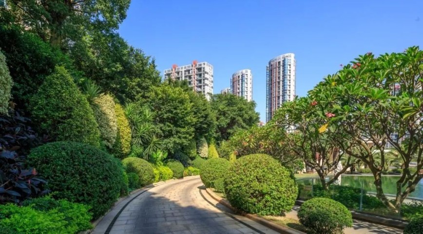 厦门云顶龙神实景图